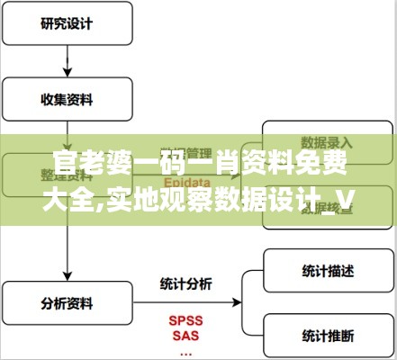 官老婆一码一肖资料免费大全,实地观察数据设计_VGA65.132按需版