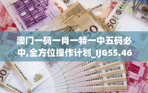 澳门一码一肖一特一中五码必中,全方位操作计划_IJG55.464随机版