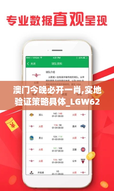 澳门今晚必开一肖,实地验证策略具体_LGW62.488官方版