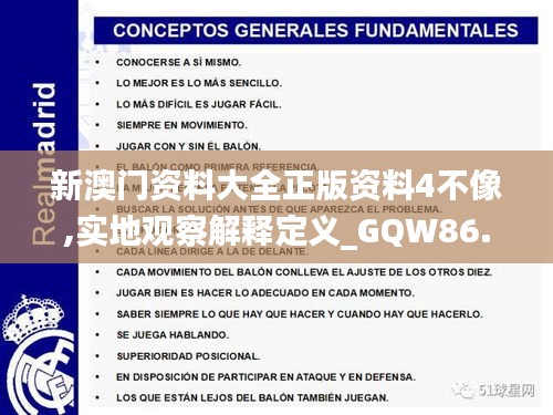 新澳门资料大全正版资料4不像,实地观察解释定义_GQW86.184抗菌版