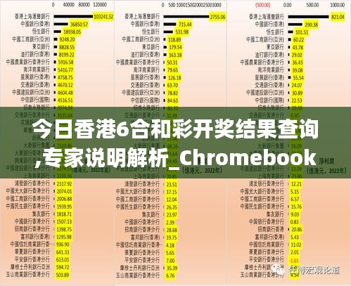 今日香港6合和彩开奖结果查询,专家说明解析_Chromebook60.771-1