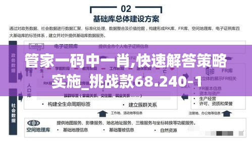 管家一码中一肖,快速解答策略实施_挑战款68.240-1