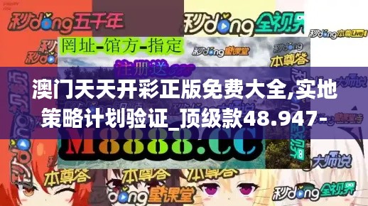 澳门天天开彩正版免费大全,实地策略计划验证_顶级款48.947-4