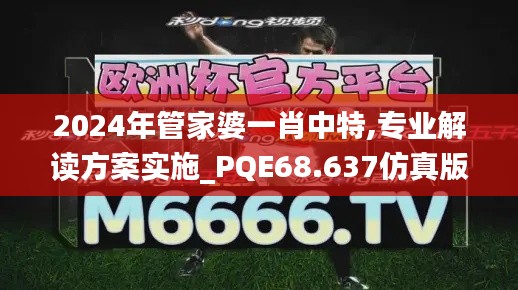 2024年管家婆一肖中特,专业解读方案实施_PQE68.637仿真版