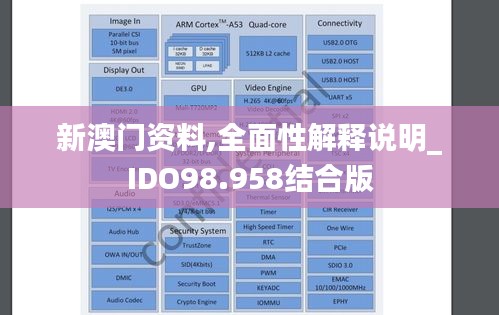 新澳门资料,全面性解释说明_IDO98.958结合版