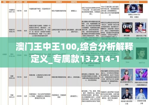 澳门王中王100,综合分析解释定义_专属款13.214-1