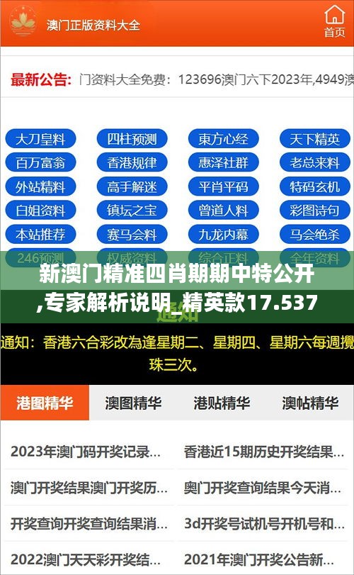 新澳门精准四肖期期中特公开,专家解析说明_精英款17.537-9