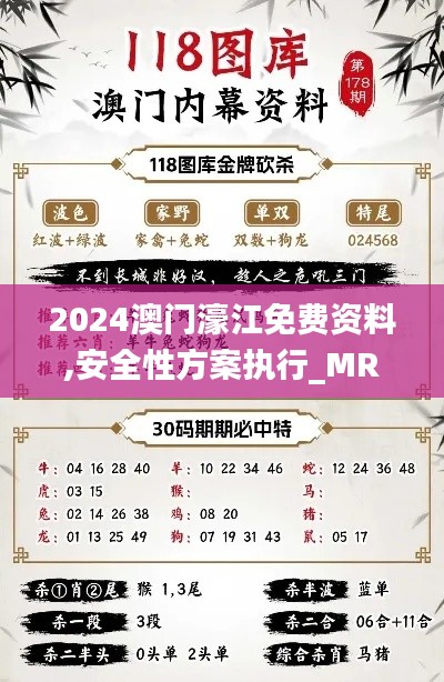 2024澳门濠江免费资料,安全性方案执行_MRS32.640职业版