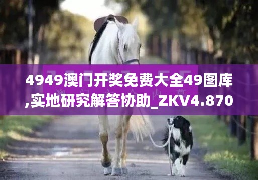 4949澳门开奖免费大全49图库,实地研究解答协助_ZKV4.870内容版