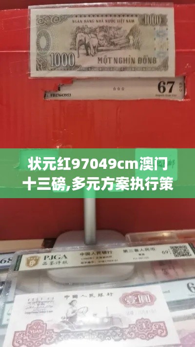 状元红97049cm澳门十三磅,多元方案执行策略_FT45.904-9