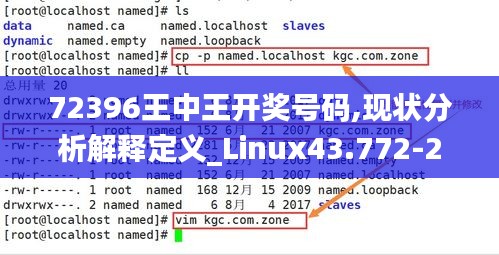 72396王中王开奖号码,现状分析解释定义_Linux43.772-2