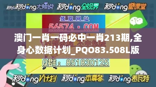 澳门一肖一码必中一肖213期,全身心数据计划_PQO83.508L版