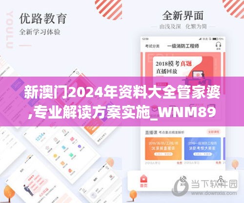 新澳门2024年资料大全管家婆,专业解读方案实施_WNM89.606颠覆版