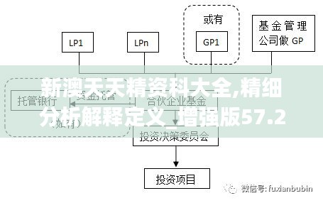 新澳天天精资科大全,精细分析解释定义_增强版57.224-2