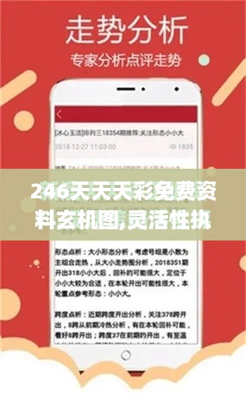 246天天天彩免费资料玄机图,灵活性执行计划_XR136.480-1