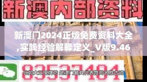 新澳门2024正版免费资料大全,实践经验解释定义_V版9.466-5