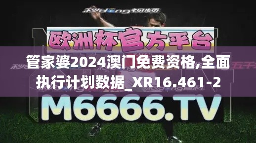 管家婆2024澳门免费资格,全面执行计划数据_XR16.461-2