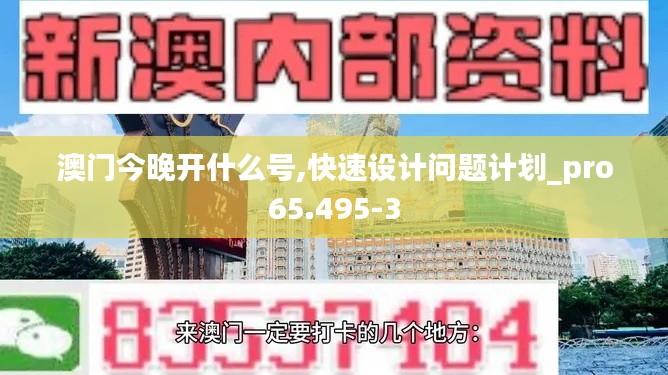 澳门今晚开什么号,快速设计问题计划_pro65.495-3