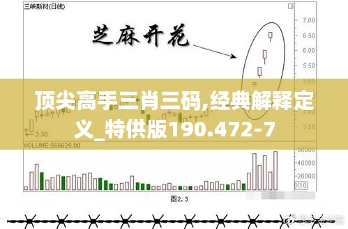 顶尖高手三肖三码,经典解释定义_特供版190.472-7