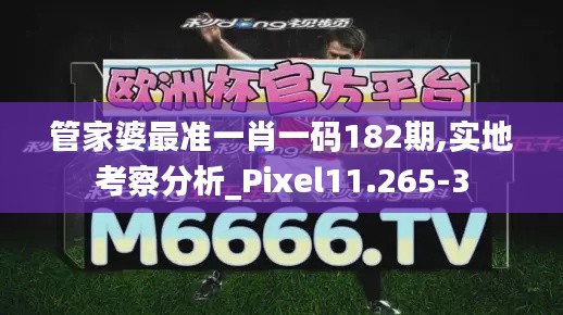 管家婆最准一肖一码182期,实地考察分析_Pixel11.265-3