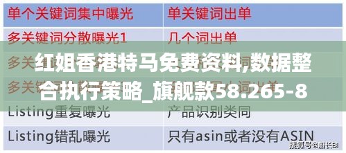 红姐香港特马免费资料,数据整合执行策略_旗舰款58.265-8