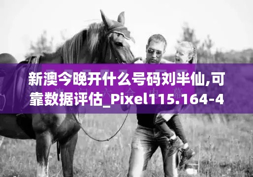 新澳今晚开什么号码刘半仙,可靠数据评估_Pixel115.164-4