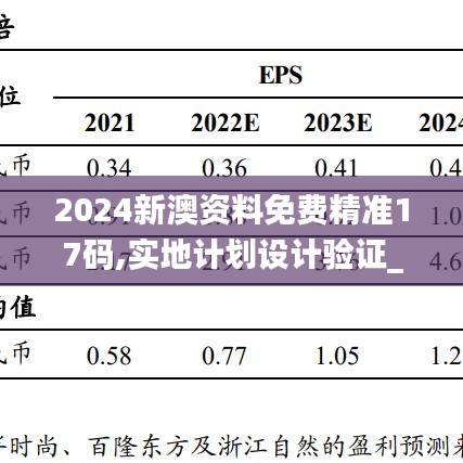 2024新澳资料免费精准17码,实地计划设计验证_专业款114.220-4