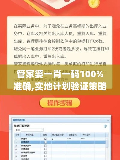 管家婆一肖一码100%准确,实地计划验证策略_云端版74.102-6