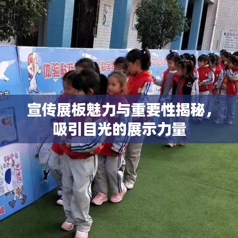 宣传展板魅力与重要性揭秘，吸引目光的展示力量