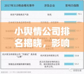 小舆情公司排名揭晓，影响力深度解析