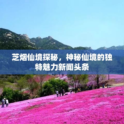 芝烟仙境探秘，神秘仙境的独特魅力新闻头条