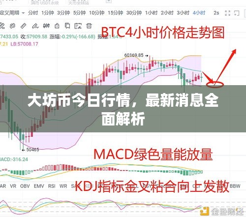 大坊币今日行情，最新消息全面解析