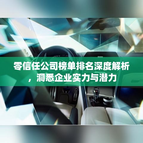 零信任公司榜单排名深度解析，洞悉企业实力与潜力