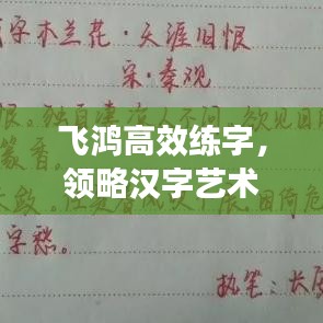 飞鸿高效练字，领略汉字艺术的魅力