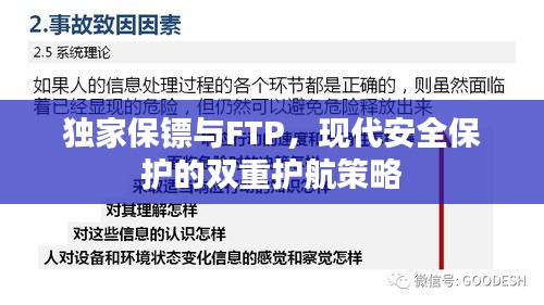 独家保镖与FTP，现代安全保护的双重护航策略