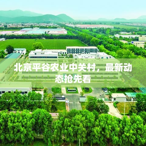 北京平谷农业中关村，最新动态抢先看