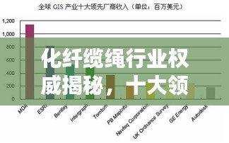 化纤缆绳行业权威揭秘，十大领先厂家排名榜单！