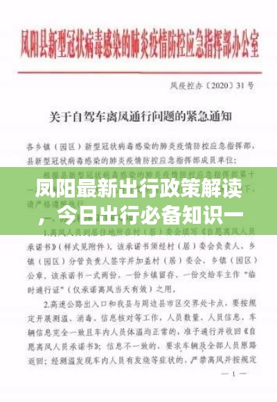 凤阳最新出行政策解读，今日出行必备知识一网打尽！