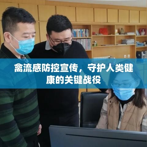 禽流感防控宣传，守护人类健康的关键战役