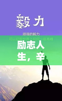 励志人生，辛酸历程中的励志语录