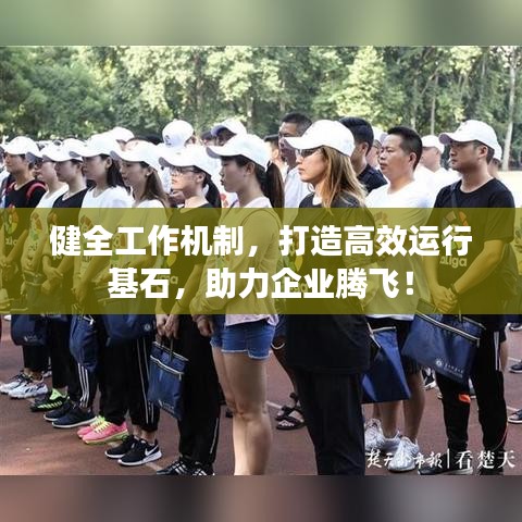 健全工作机制，打造高效运行基石，助力企业腾飞！