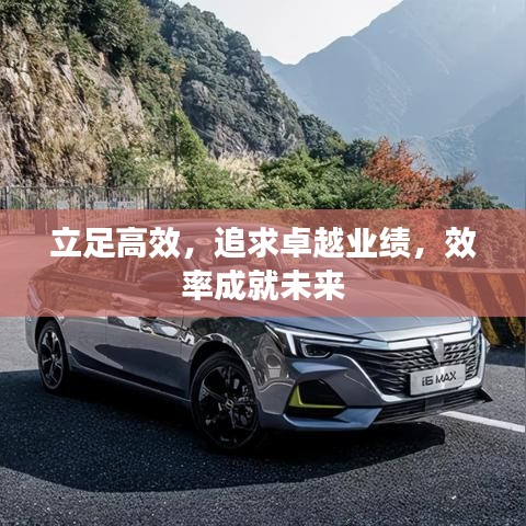 立足高效，追求卓越业绩，效率成就未来