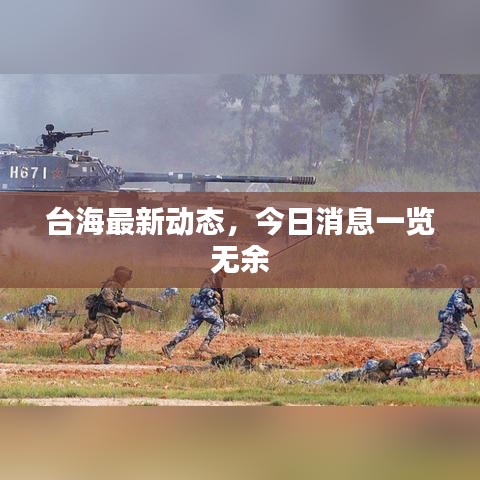 台海最新动态，今日消息一览无余
