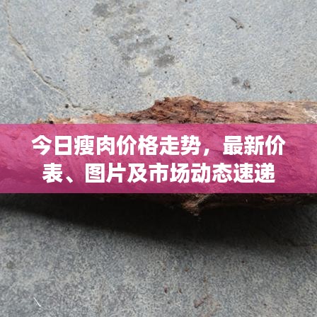 今日瘦肉价格走势，最新价表、图片及市场动态速递