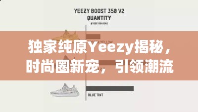 独家纯原Yeezy揭秘，时尚圈新宠，引领潮流风向标