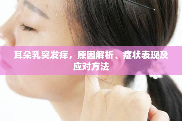 耳朵乳突发痒，原因解析、症状表现及应对方法