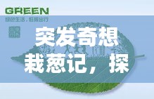 突发奇想栽葱记，探索绿色小生活的奥秘