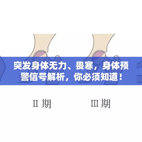 突发身体无力、畏寒，身体预警信号解析，你必须知道！