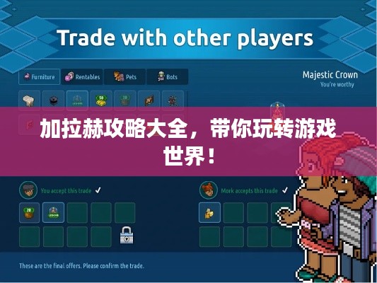加拉赫攻略大全，带你玩转游戏世界！