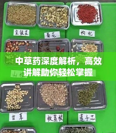 中草药深度解析，高效讲解助你轻松掌握